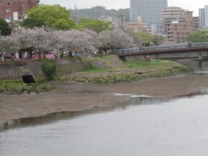 クレセール天保山での生活